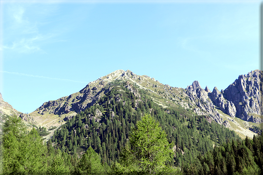 foto Cima D'Asta